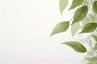 简约清新树叶纹理背景