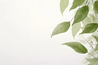 简约清新树叶纹理背景