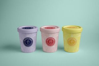 冰淇淋包装样机