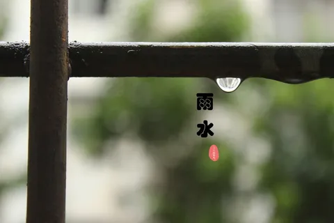 二十四节气雨水图片 二十四节气雨水图片