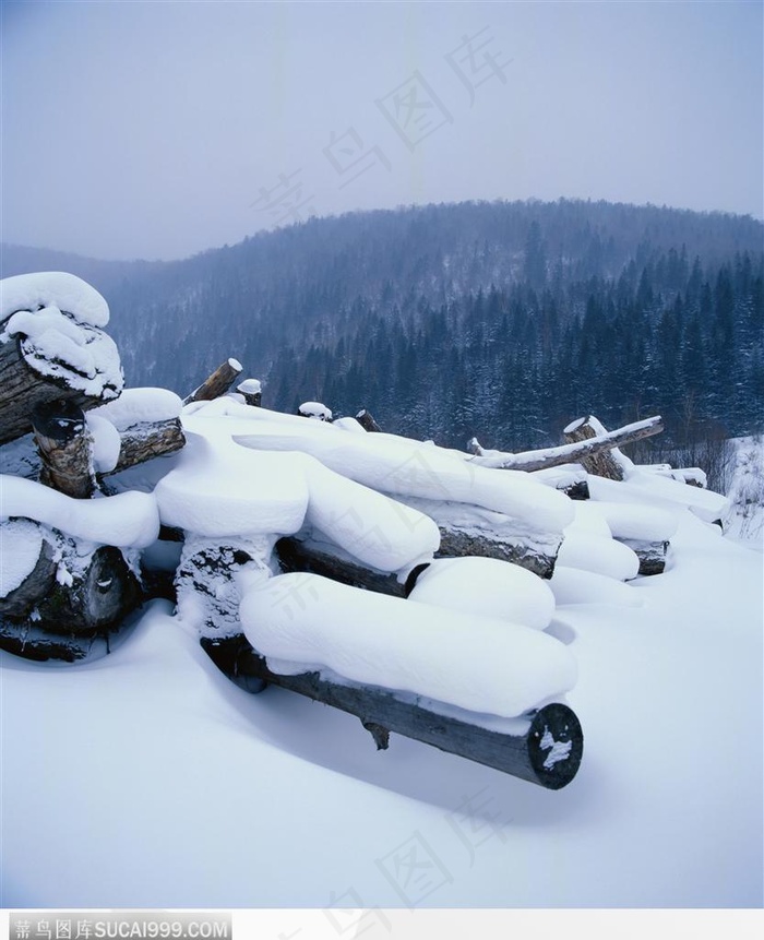 冬日美景-美丽的木头雪景