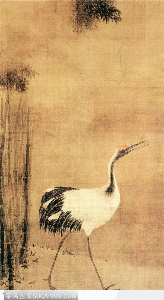 花鸟篇-丹顶鹤