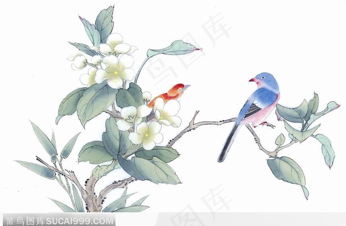 工笔画—茶花