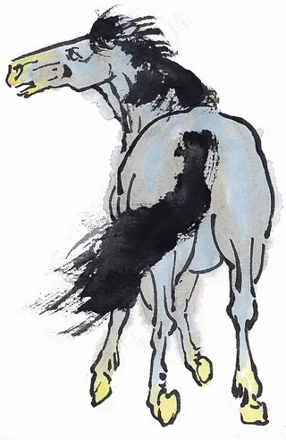 家畜美图摄影图片