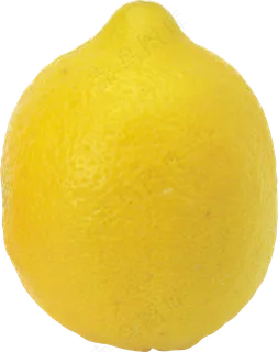 柠檬免抠素材 (13)