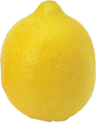 柠檬免抠素材 (13)