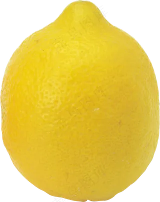 柠檬免抠素材 (13)