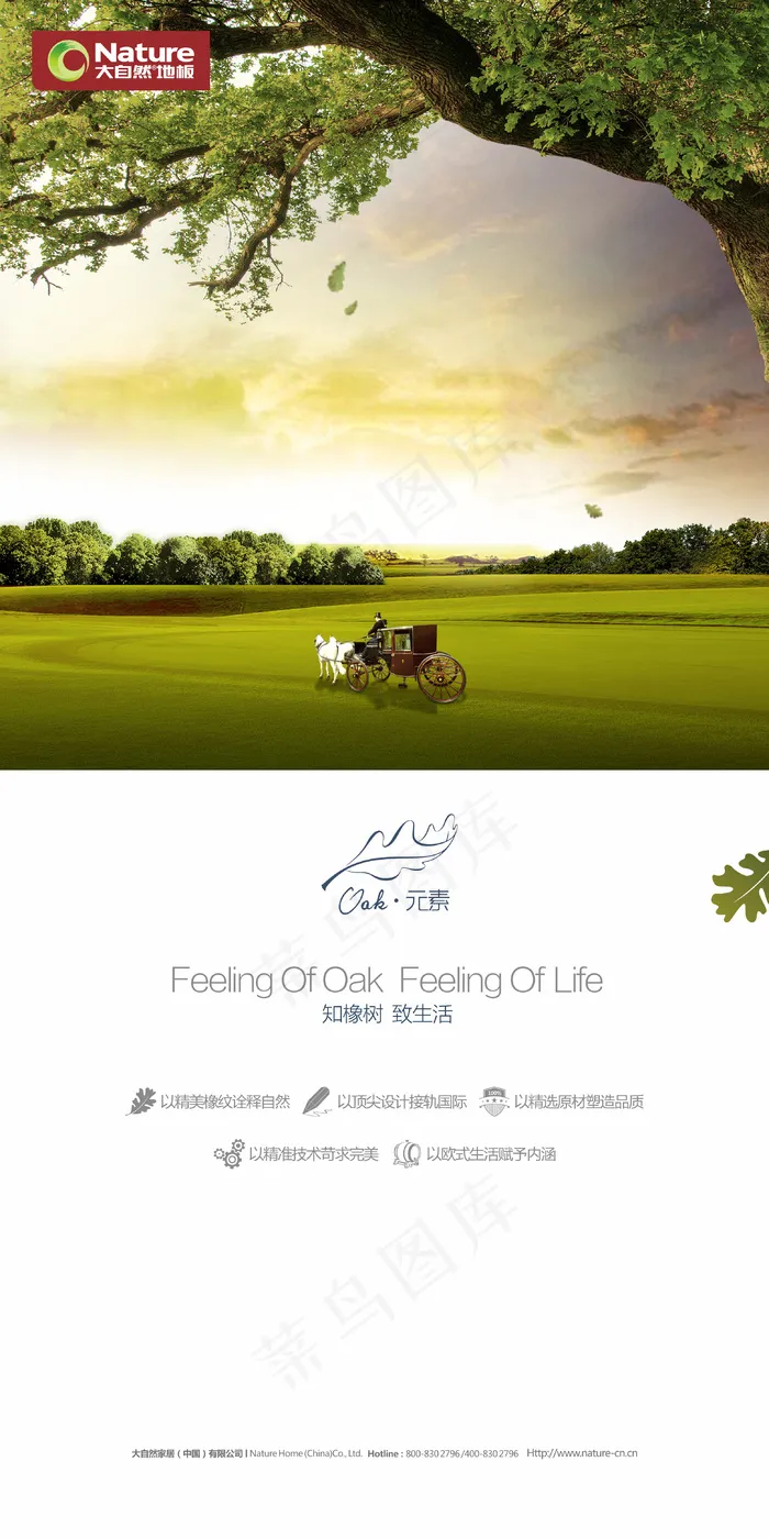 挪威系列 大自然地板cdr矢量模版下载