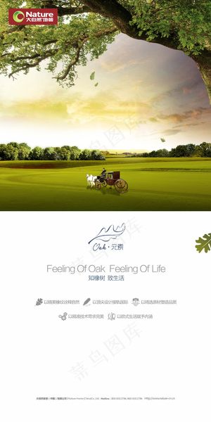 挪威系列 大自然地板