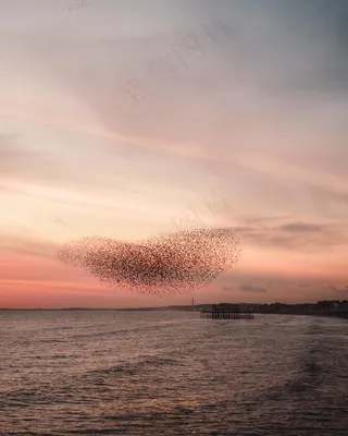 大海傍晚风景图片