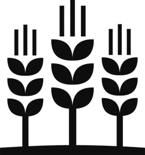 麦子剪影现代农业