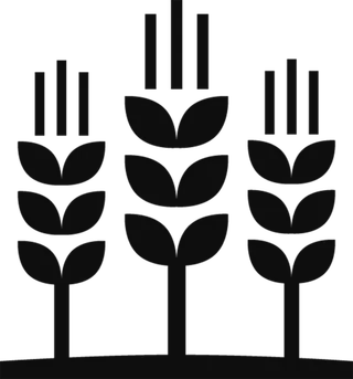 麦子剪影现代农业