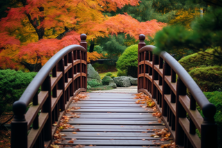 秋天庭院拱桥秋意浓摄影图