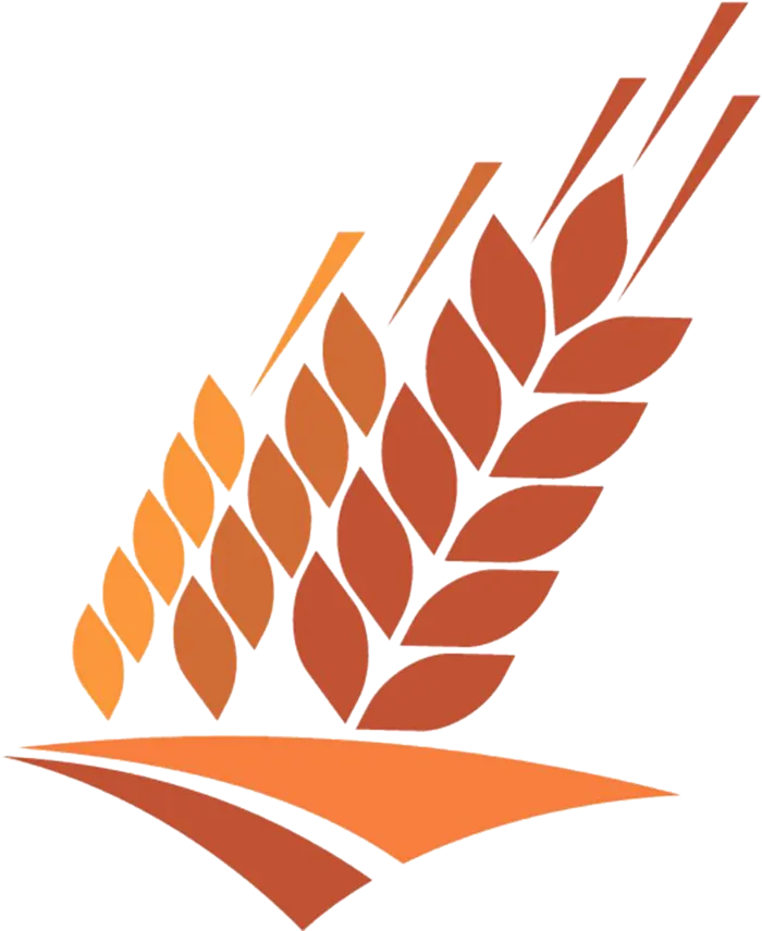 稻子麦子现代农业