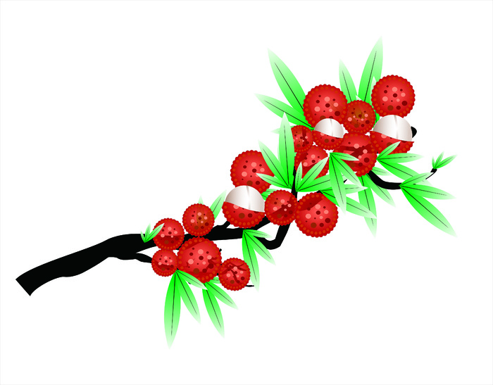 荔枝矢量图|水果|水果树