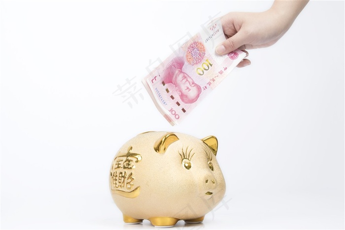投资理财金猪储蓄罐