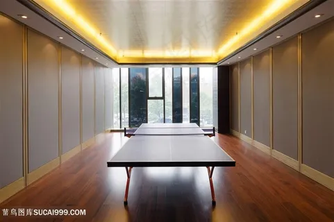 高档球场装修高清图