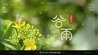谷雨 谷雨海报