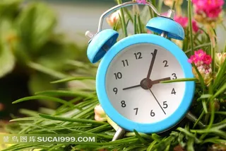 花卉上的闹钟图片