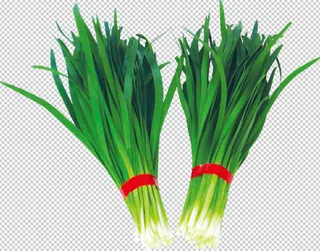 韭菜免扣素材
