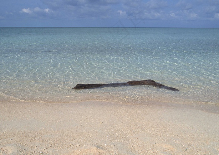 海岸沙滩 204