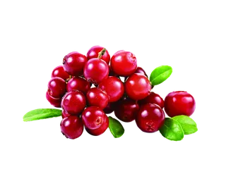 蔓越莓水果超市商品白底图免抠实物摄影png格式图片透明底