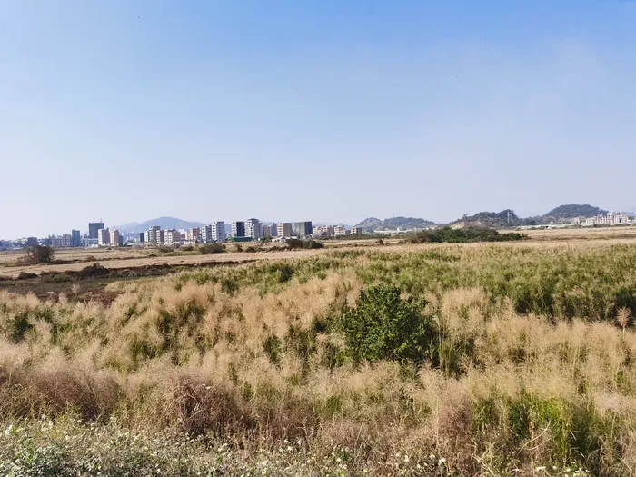 高逼格的自然风景，风吹草地见牛羊