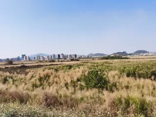 高逼格的自然风景，风吹草地见牛羊