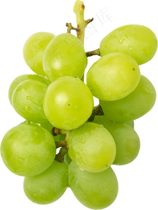 06_Grapes