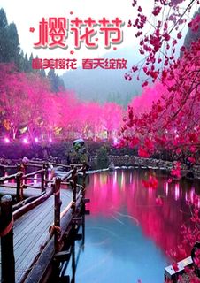 全国樱花节背景