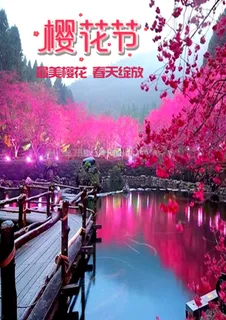 全国樱花节背景 全国樱花节背景