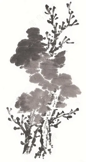 古木美图jpg素材 古木美图jpg素材