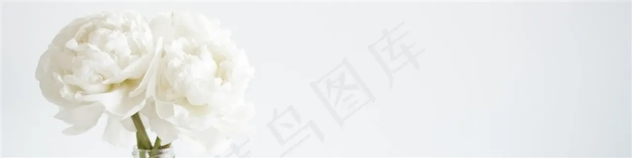 横屏宽幅banner素材底图高清图片 横屏宽幅banner素材底图高清图片