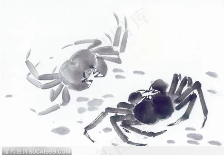 水墨画—螃蟹 水墨画—螃蟹