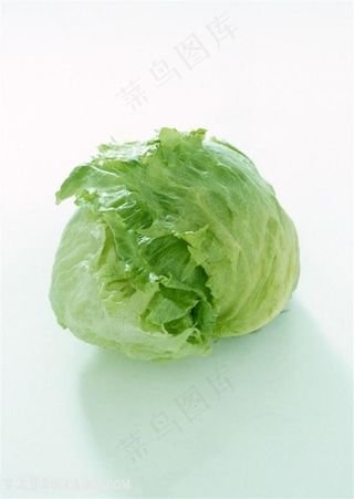 新鲜包菜蔬菜高清素材