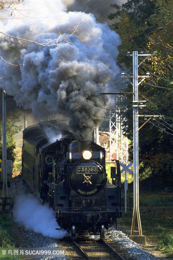 火车树林美景壁纸