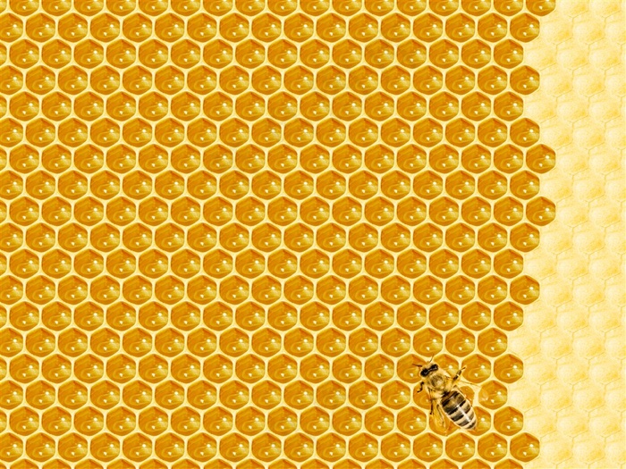 蜜蜂蜂巢背景高清图片