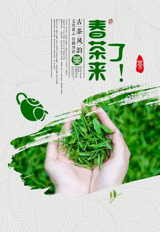 春茶上市 春茶活动海报