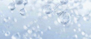 冬天冰枝冰冷枝叶雪球，小雪大雪冬至