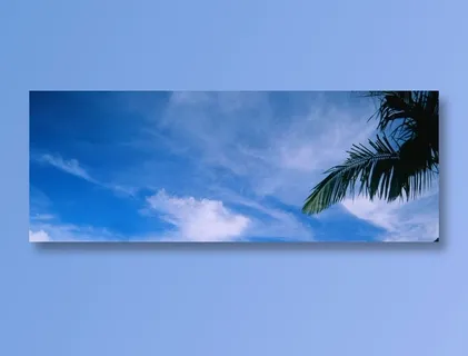 蓝天白云下的椰树叶