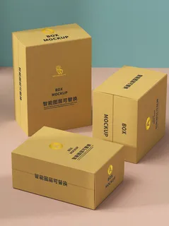 包装智能贴图样机VI效果PSD素材