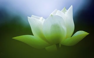 电脑壁纸、风景壁纸、特色风景、高清壁纸、桌面壁纸_15