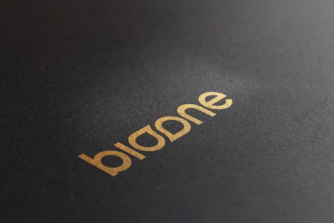 LOGO展示效果样机