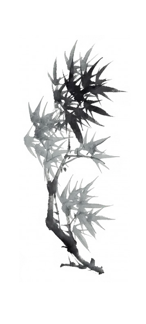 竹子水墨画中国风国画墨水书法竹子画