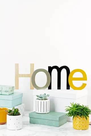 北欧简约绿植盆栽场景(15)