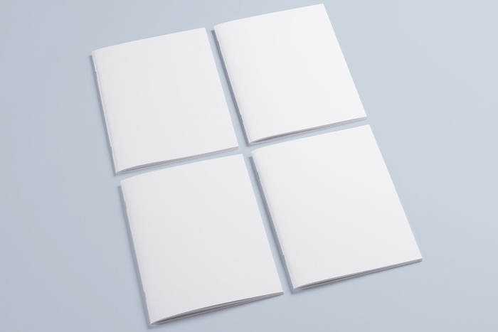 产品画册提案效果样机模板