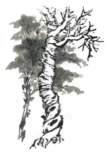 古木工笔国画摄影图片 古木工笔国画摄影图片