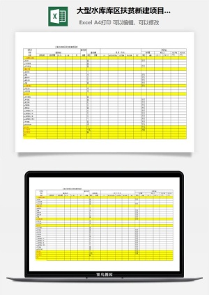 大型水库库区扶贫新建项目表excel模板