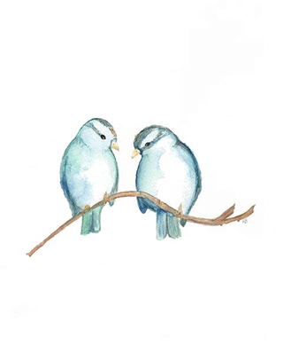 两只蓝色小鸟