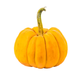 南瓜 (22)超市商品白底图免抠实物摄影png格式图片透明底